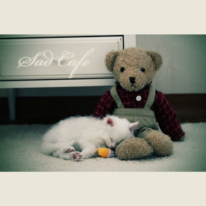 贱奴sao货扇得烂你sb微博
