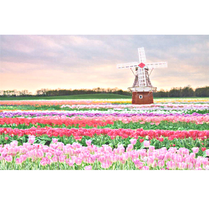 贱奴sao货扇得烂你sb微博
